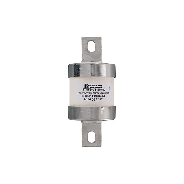 N1006630 - Central Bolted Tag fuse-links gM 690VAC/460VDC  315M400 A